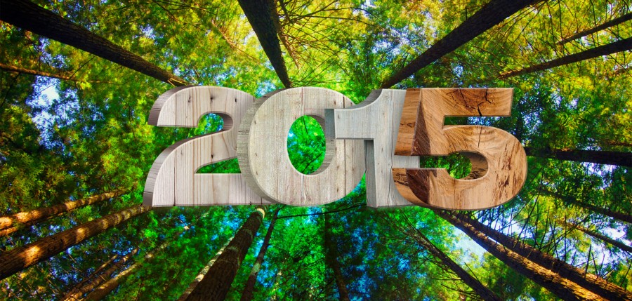 caf hebergement a titre gratuit