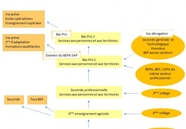 code du travail grossesse gratuit