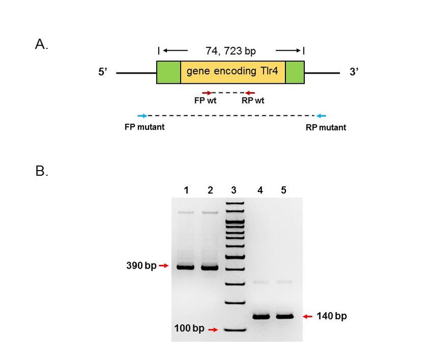 confirmation location