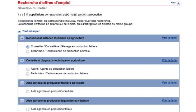 curriculum vitae anpe
