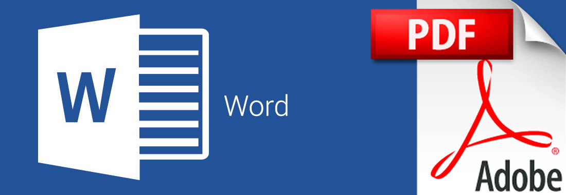 curriculum vitae pdf gratuit