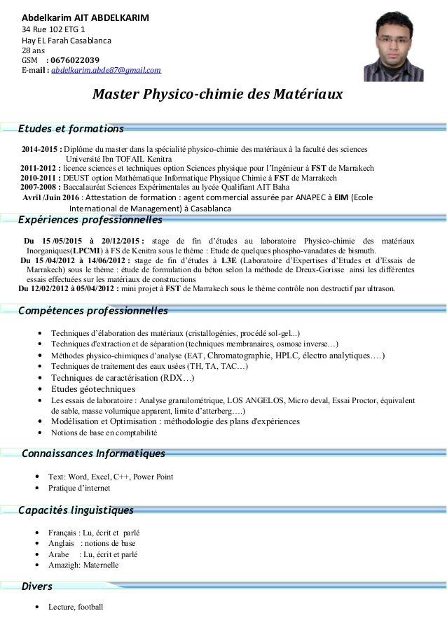 curriculum vitae pour master