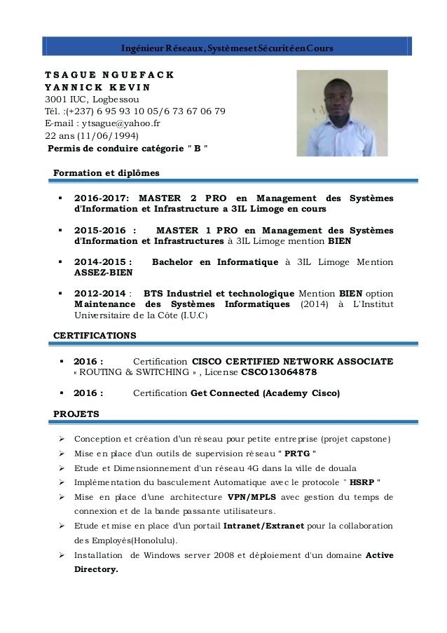 curriculum vitae pour master