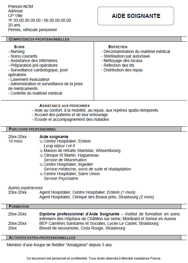 cv en francais demande de travail