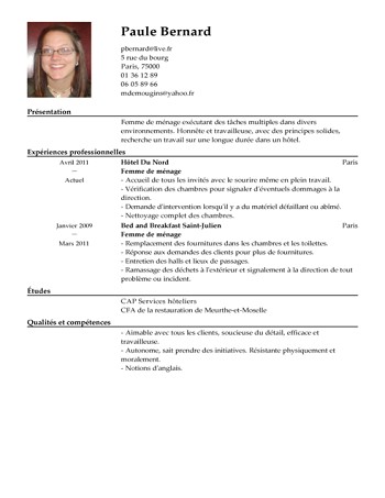 cv en francais demande de travail