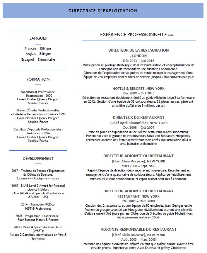 cv en francais demande de travail