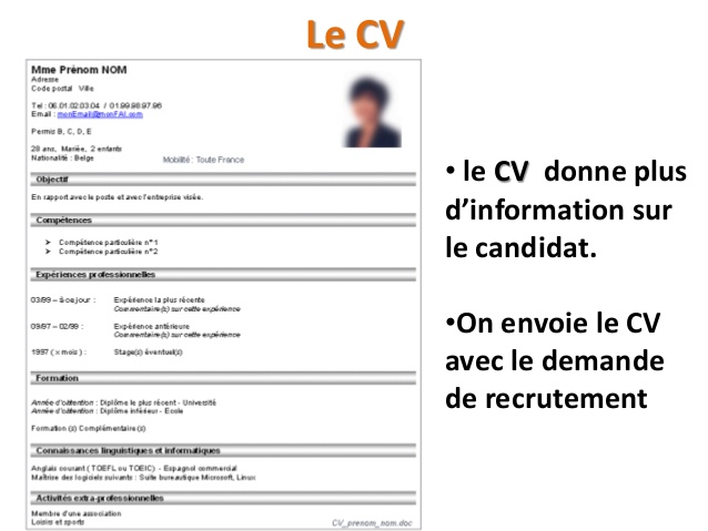 cv en francais demande de travail