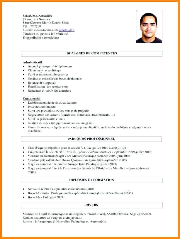 cv pdf