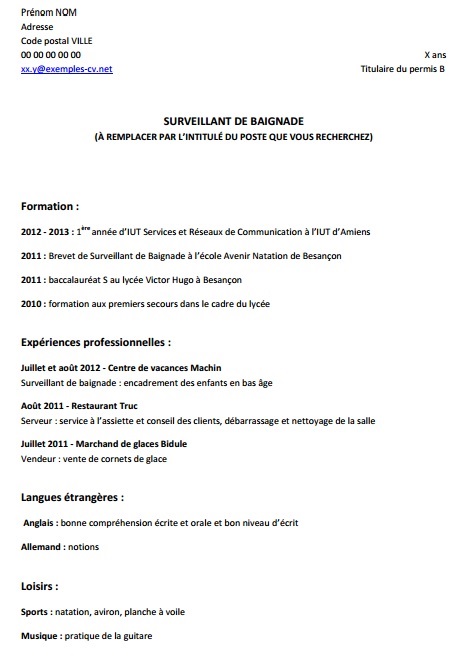 cv sans photo exemple