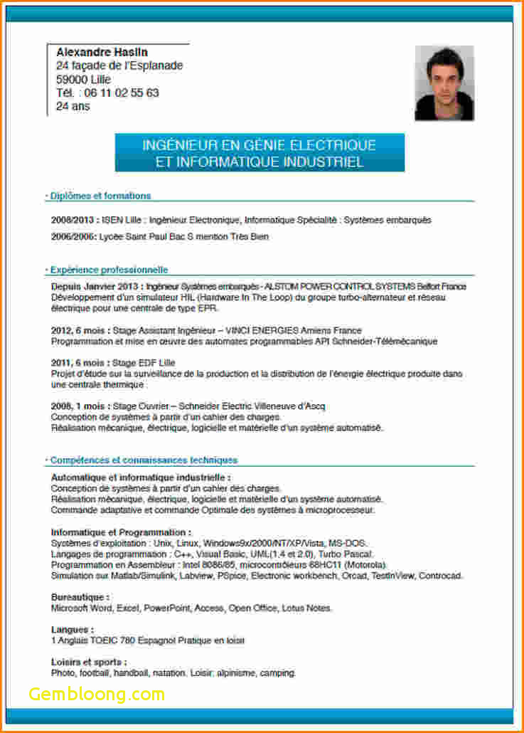 cv sans photo exemple