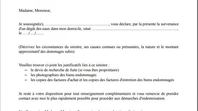 declaration de sinistre degat des eaux