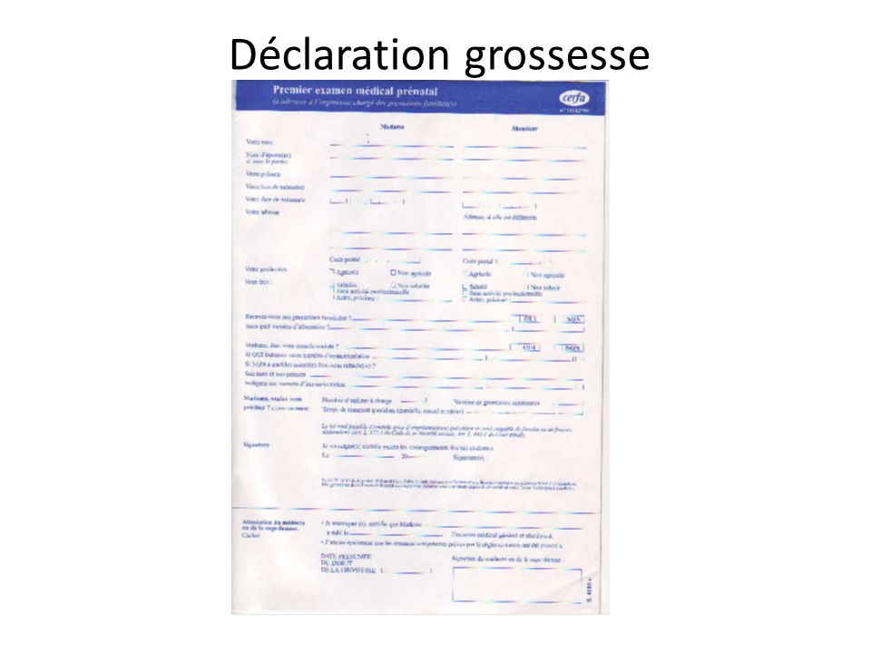 declaration grossesse education nationale