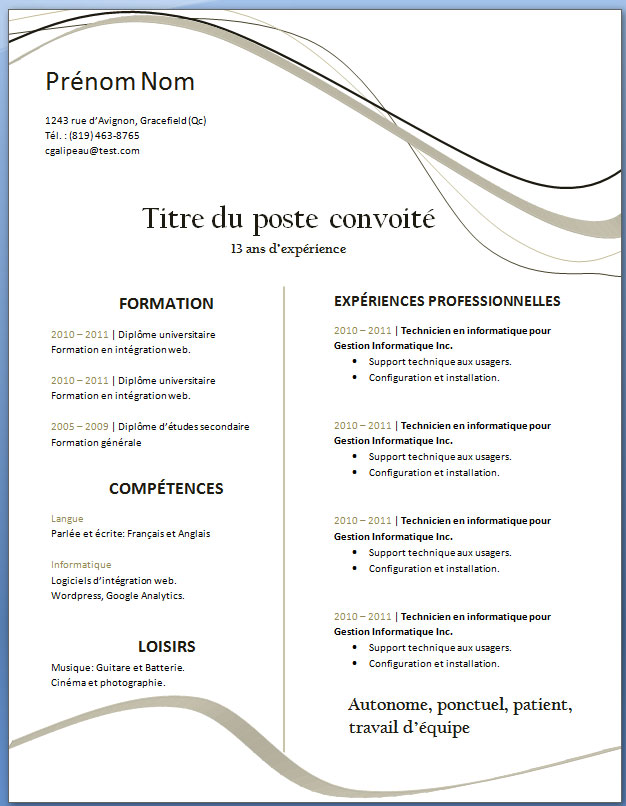 exemplaire de cv vierge