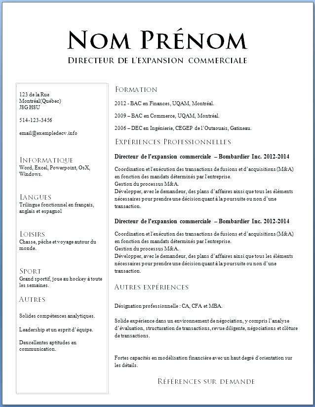 exemple cv en francais gratuit
