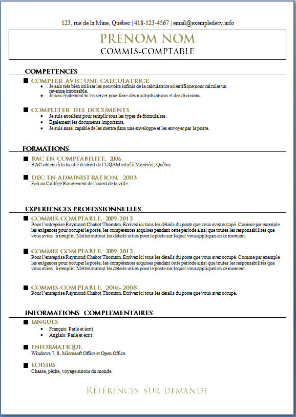 exemple de cv de demande d emploi