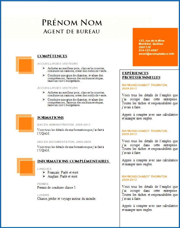 exemple de cv type gratuit