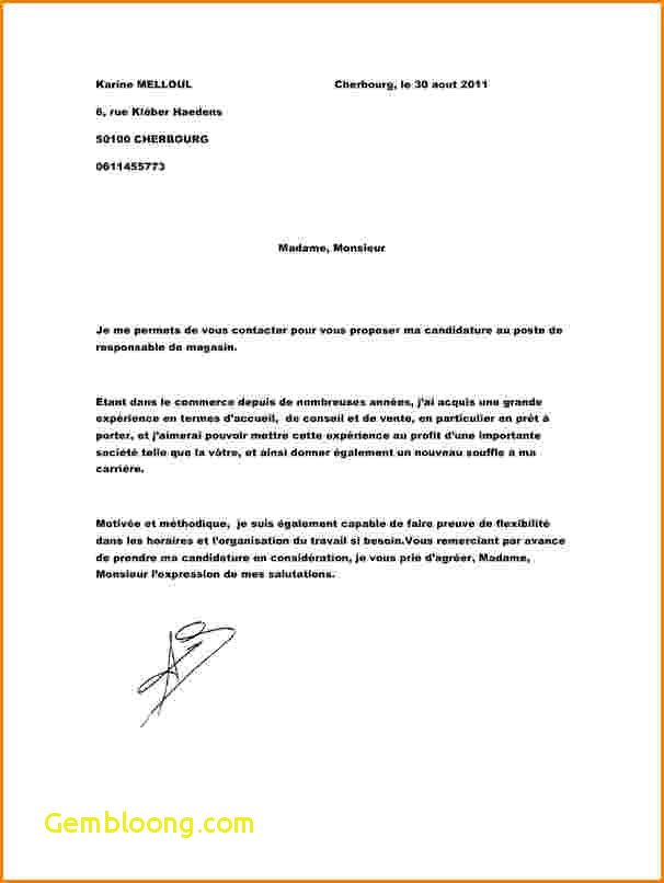 exemple de lettre de motivation commercial gratuit