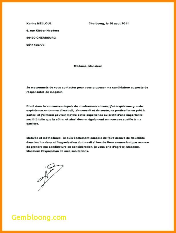 exemple de lettre de motivation gestionnaire du commerce de detail