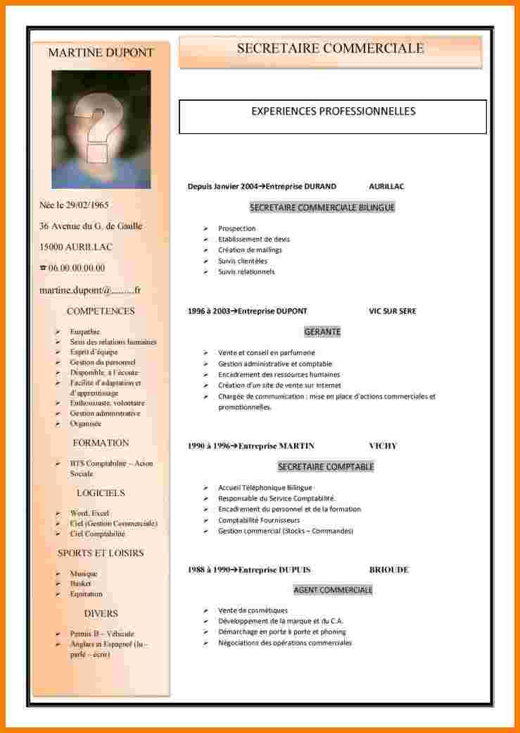 exemple presentation cv