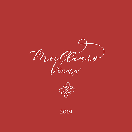 formules voeux nouvel an professionnel