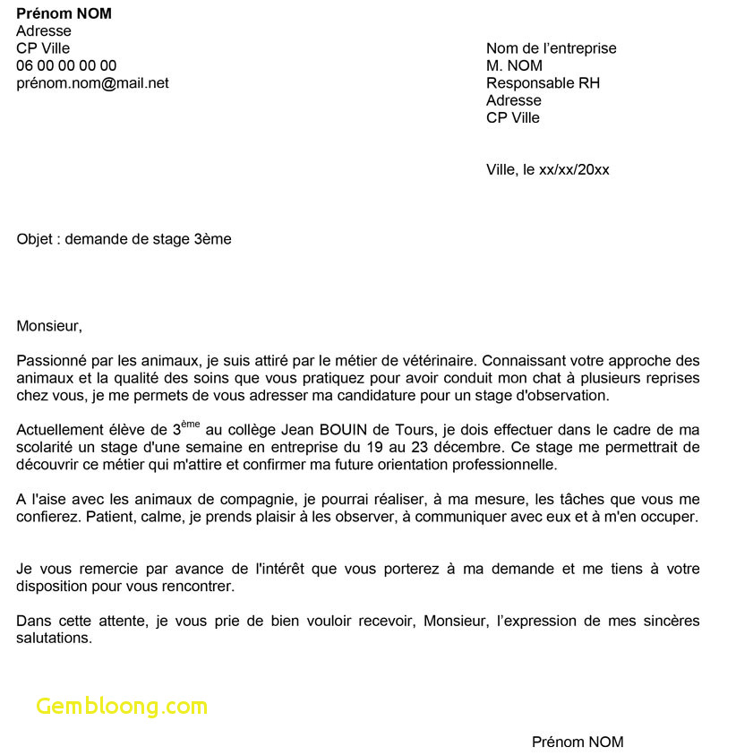 je me permets de vous adresser ma candidature