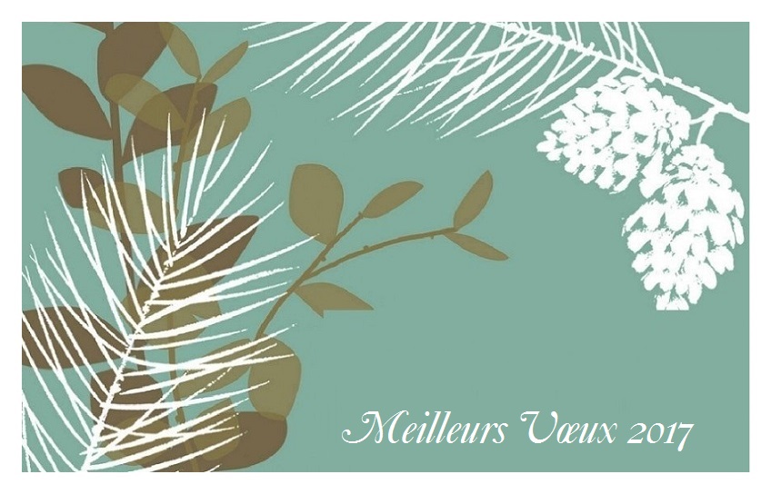 les voeux de bonne annee gratuit