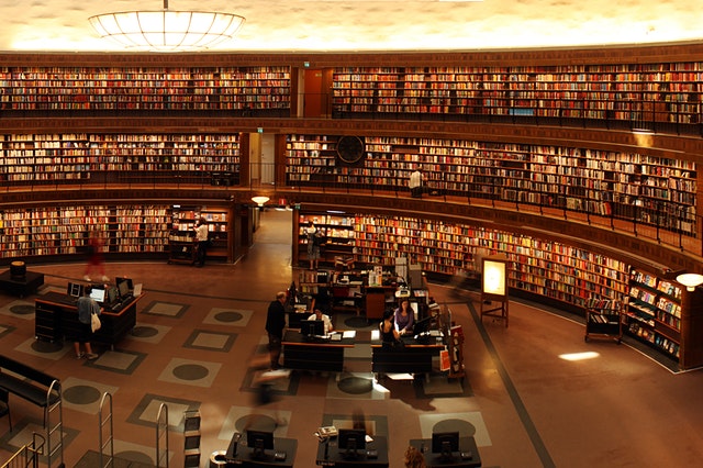 lettre de motivation bibliothecaire sans experience