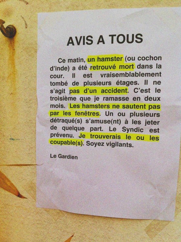 lettre pour s'excuser du bruit