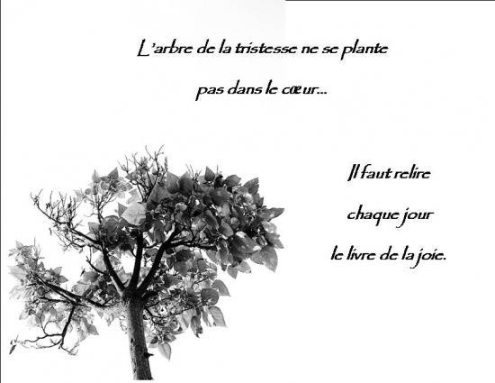 message de condoleances gratuit