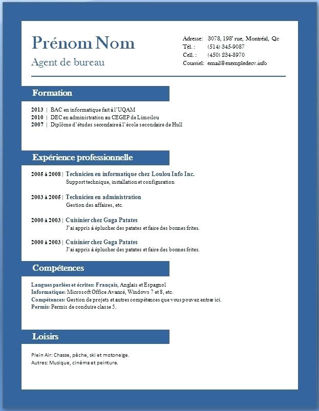 model de cv word