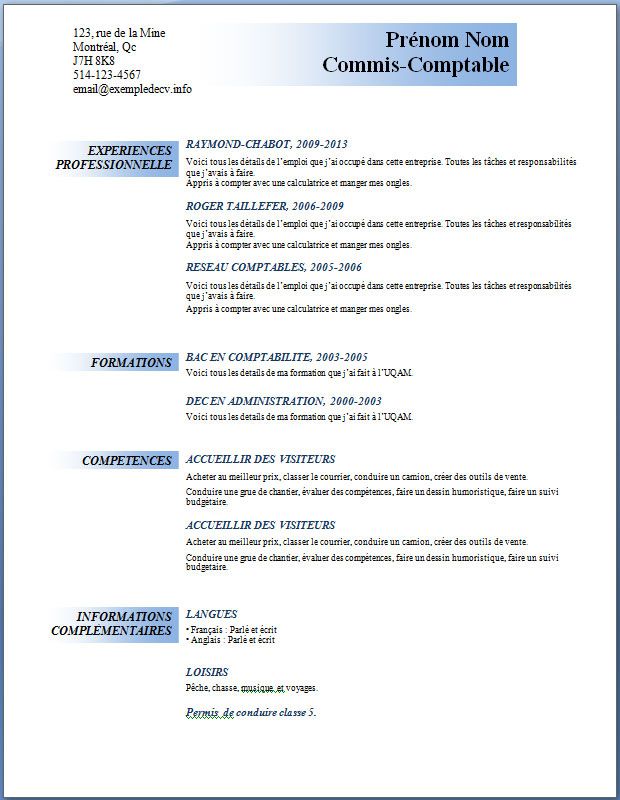 modele cv en francais word