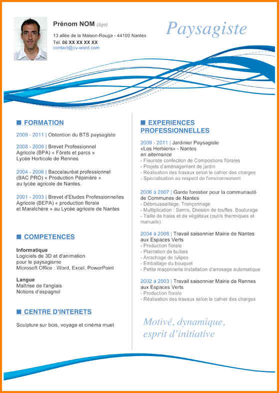 modele cv en francais word