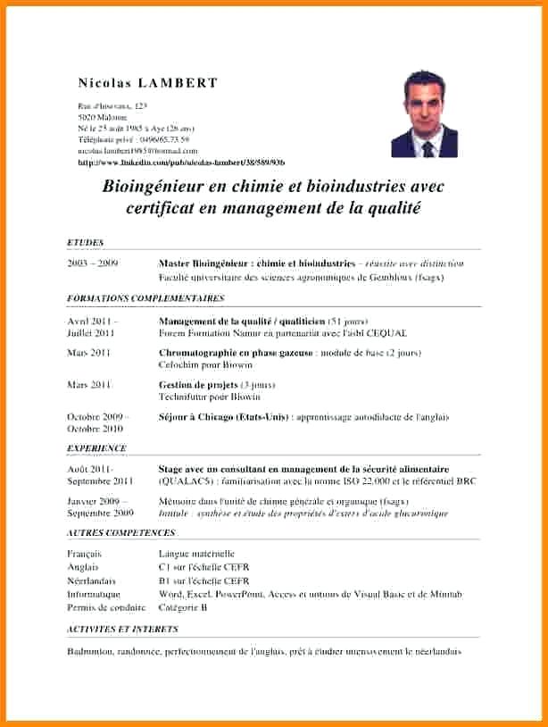 modele cv pdf