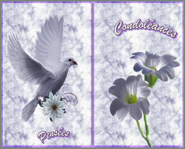 modele de carte de condoleance a imprimer