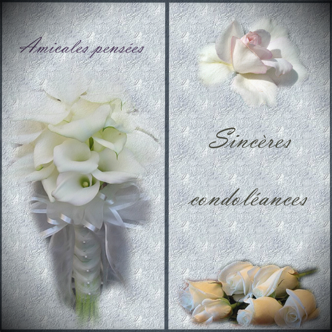 modele de carte de condoleance a imprimer