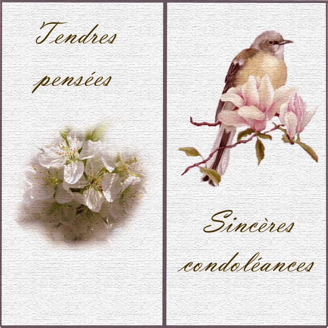 modele de lettre de condoleance gratuite