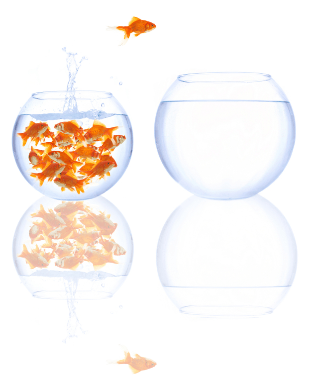 modele de lettre gratuite pour changement d'adresse