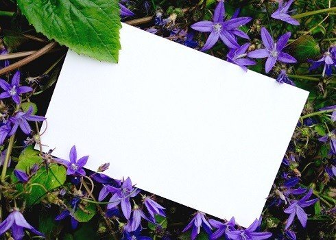 modele de lettre pour des condoleances
