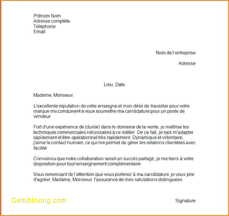 modele lettre de motivation vendeuse