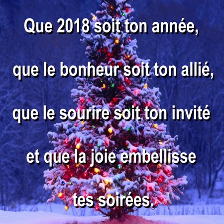 modele voeux nouvelle annee