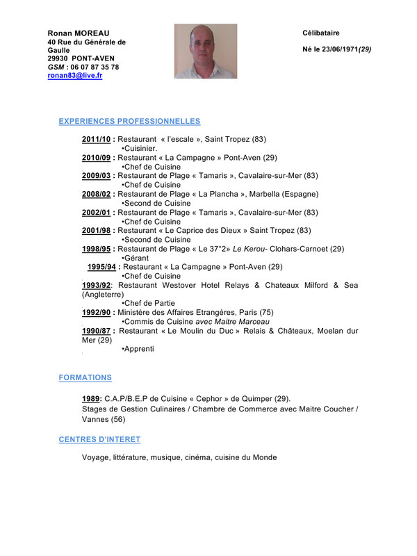 pdf cv