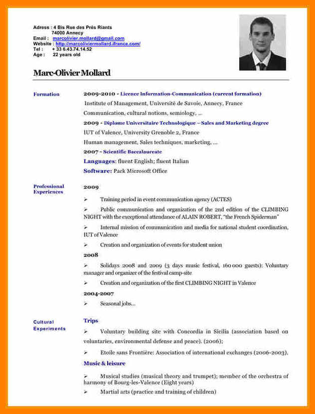 pdf cv