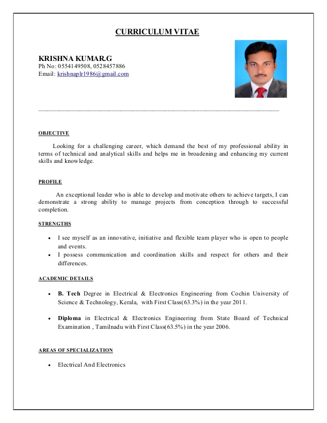 pdf cv