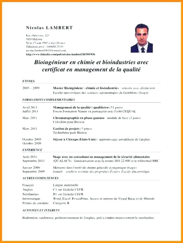 pdf cv
