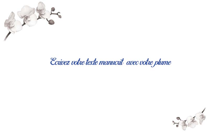 remerciement deces modele