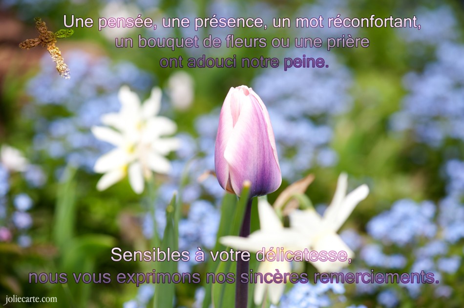 sinceres remerciements deces